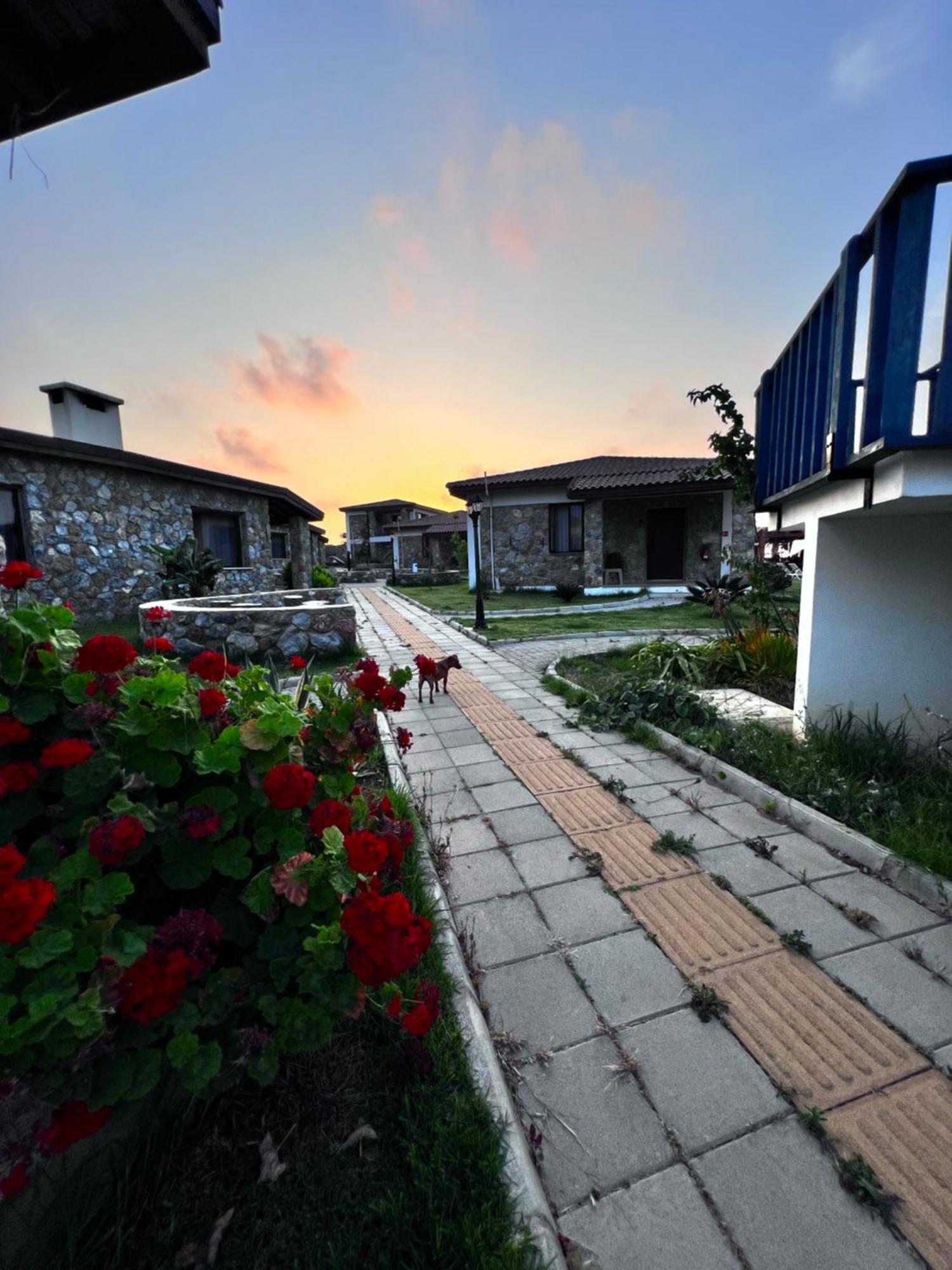 Ardic Agaci Holiday Village Famagusta  Luaran gambar