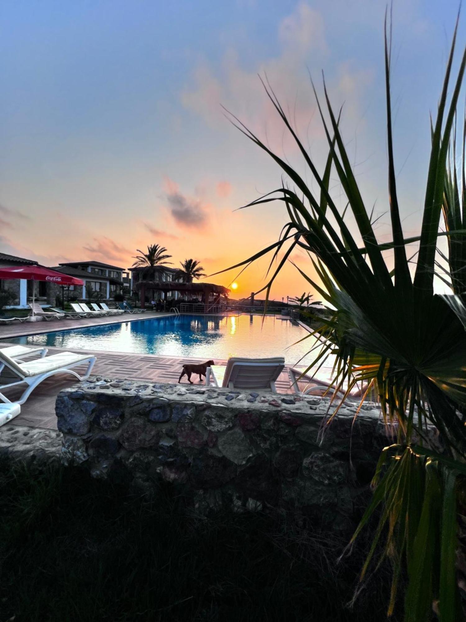 Ardic Agaci Holiday Village Famagusta  Luaran gambar